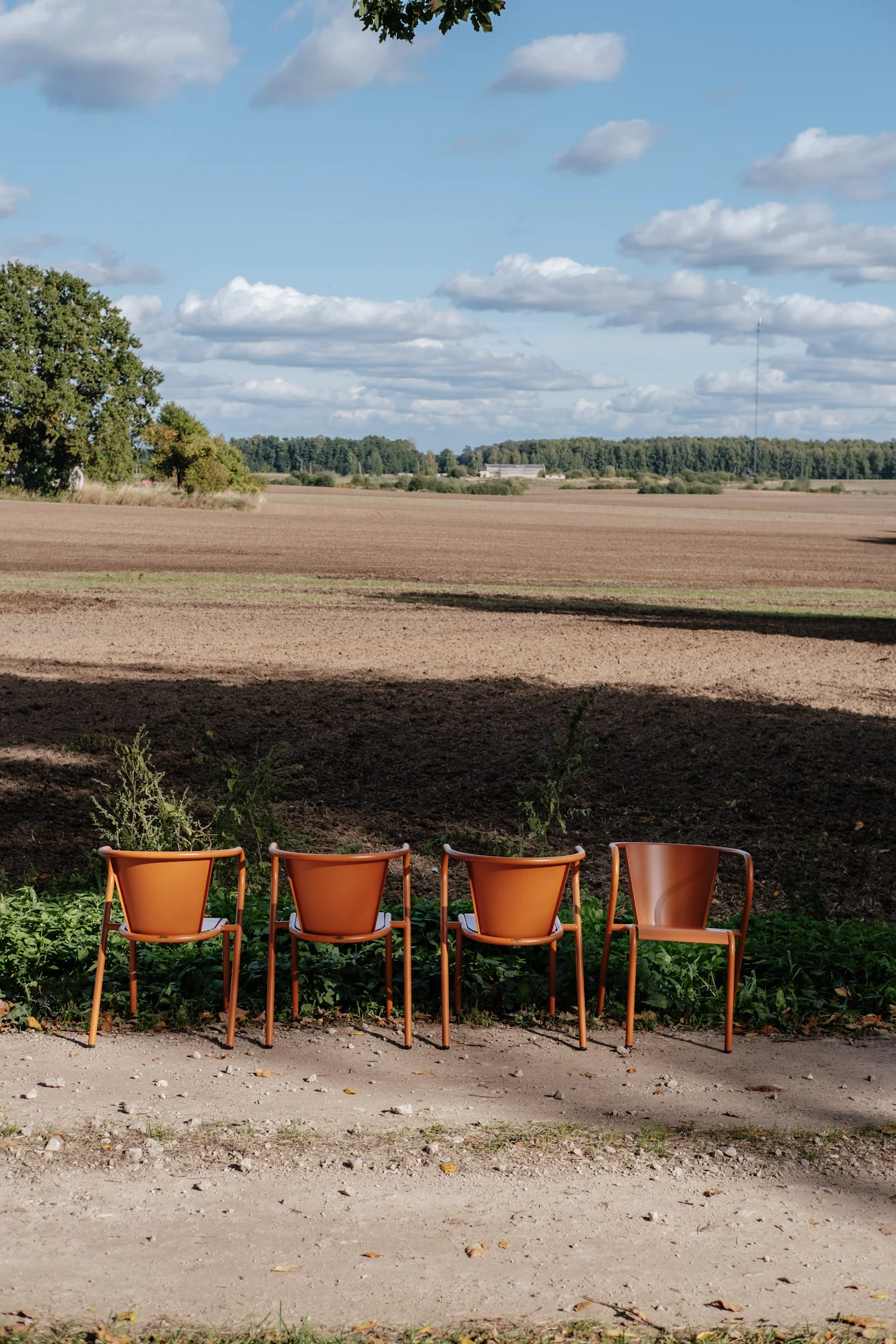 Producto 1 - Imagen 2